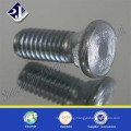 Carriage Bolt with Coating Zinc Plated